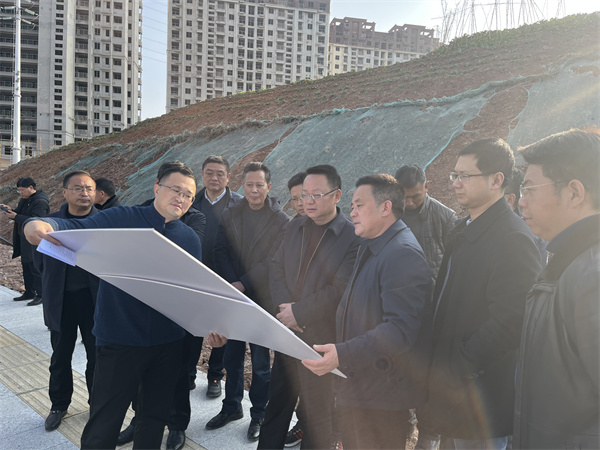 1月19日汪凯县长一行调研集团项目建设（米兰网_米兰（中国）大厦）.jpg